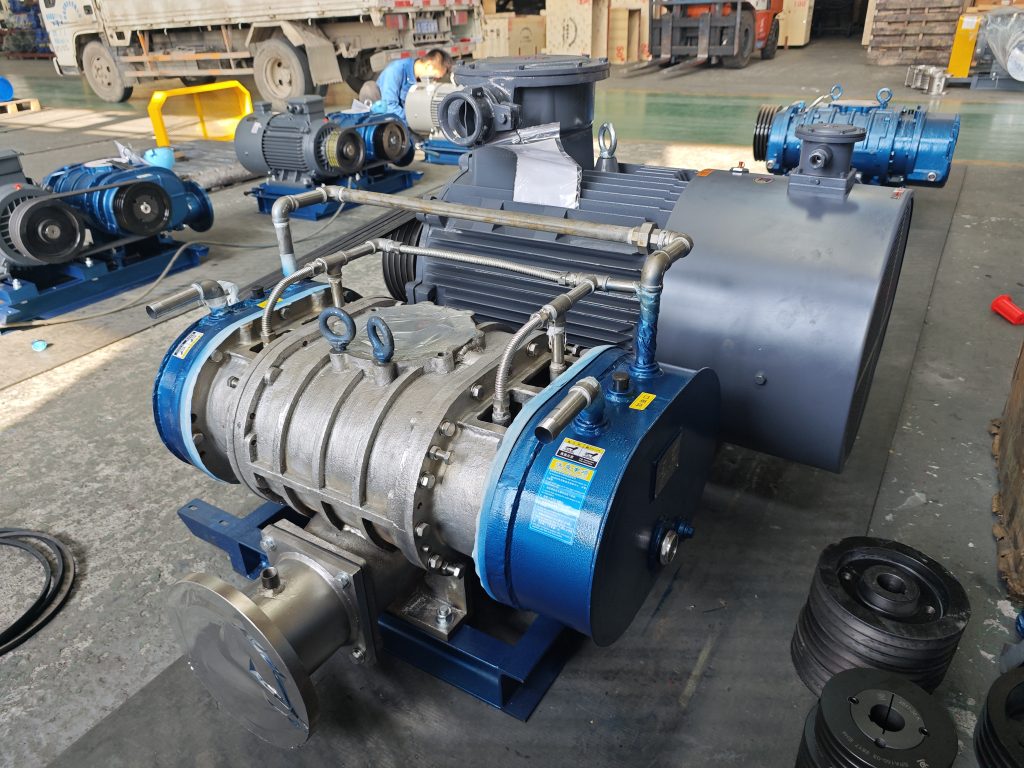 Customized Stainless Steel Roots Blower for Natural Gas in Bangladesh